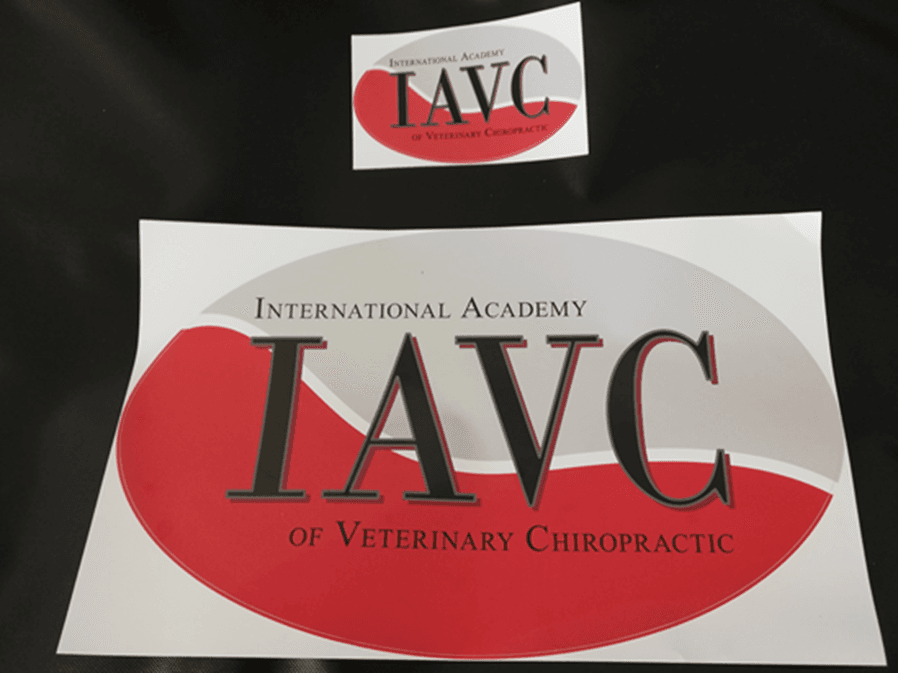 Large and small IAVC logo stickers shown together