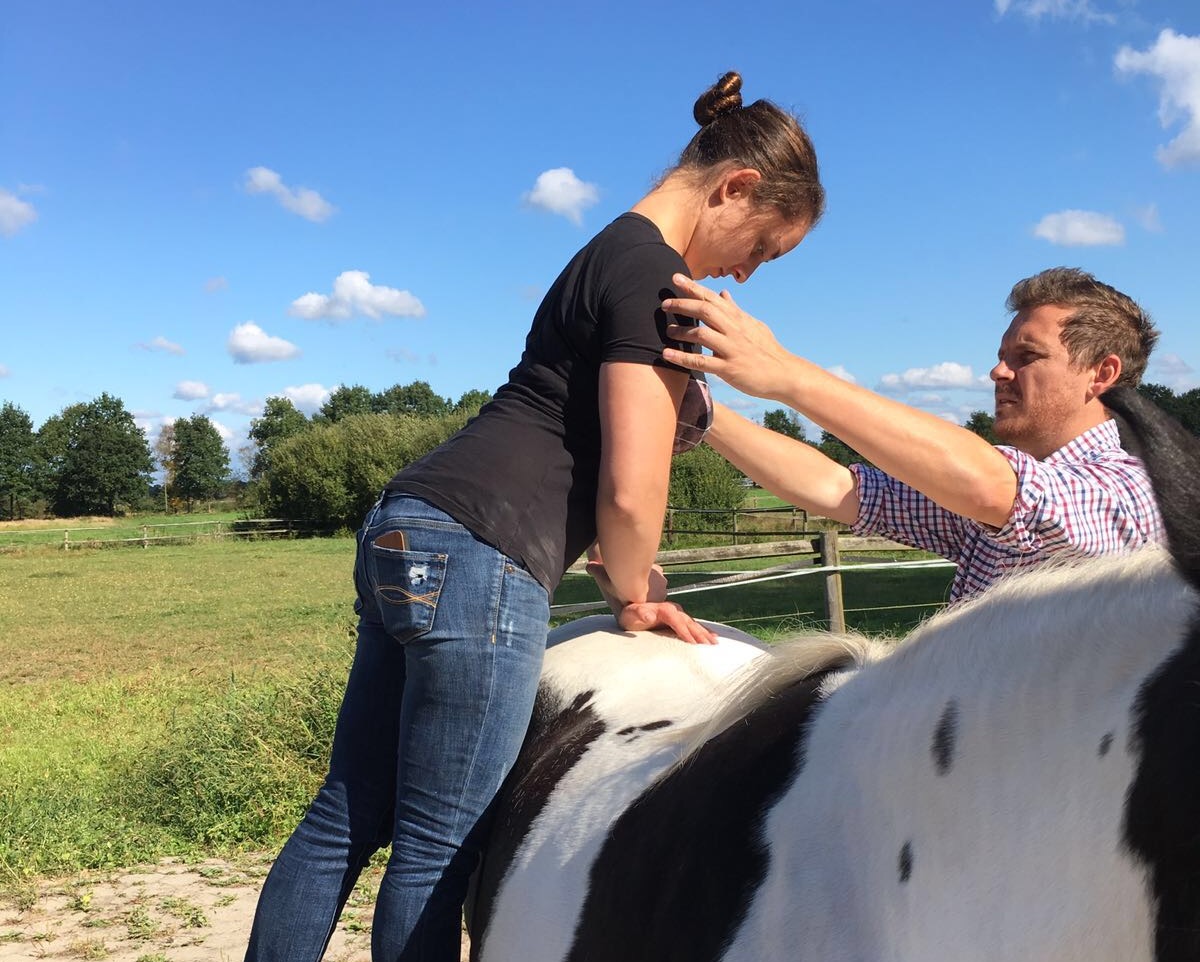 Chiropraktische Techniken am Tier