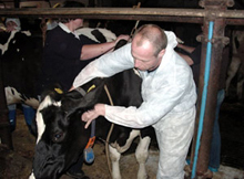 You may attend the modules working toward an advanced certification, or take them individually for continuing education / professional development. We welcome you either way.  Also, since the curriculum is the same as the advanced modules at Options for A