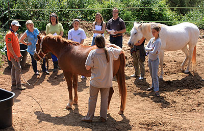 Kurs Cranio-Sacral Therapie