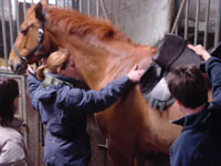 Management des chiropraktischen Patienten