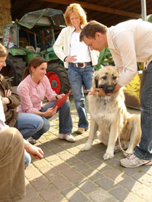 Courses - an Overview