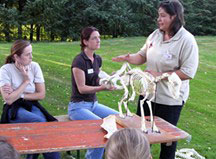 Courses - an Overview